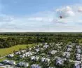 Port Drzewny