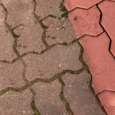 Odśwież kostkę za pomocą bejcy