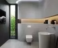 Visign for More 202 flush system