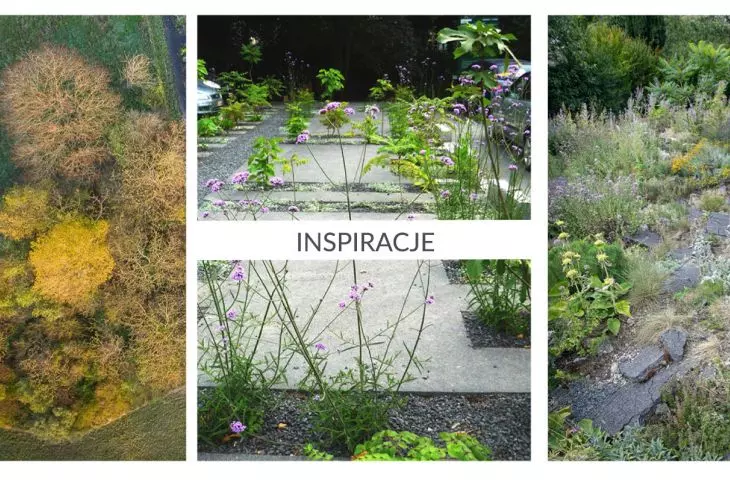 inspirations for the park