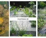 inspirations for the park