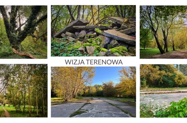 pracę rozpoczęto od wizji terenowej