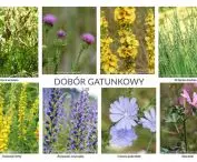 Also important were the issues of plant species