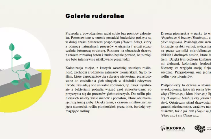  Educational materials prepared on the occasion are available on the studio's website