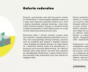  Educational materials prepared on the occasion are available on the studio's website