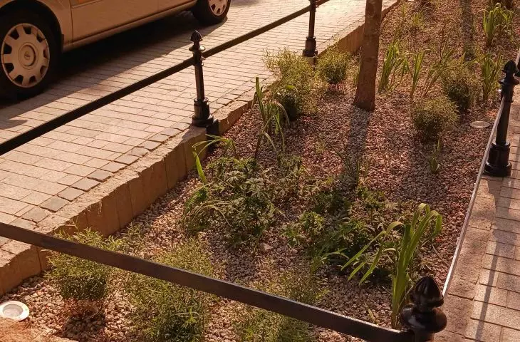 jeden z ogrodów deszczowych