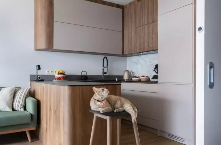 Apartment for a family with a cat