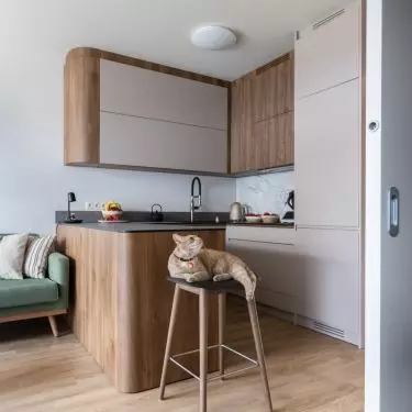 Apartment for a family with a cat