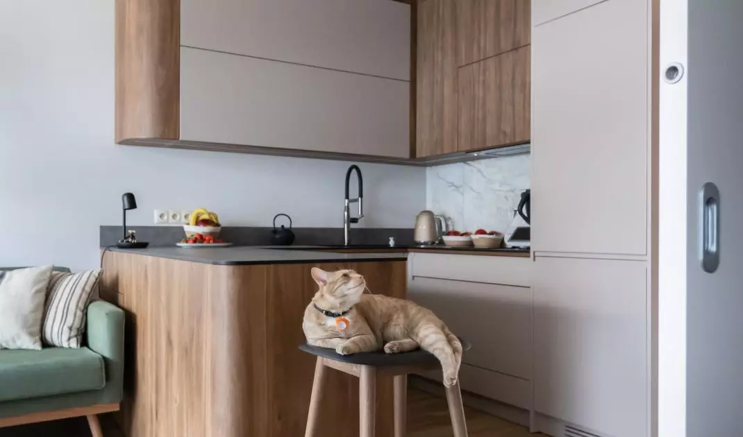 Apartment for a family with a cat