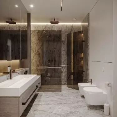 Bathroom in the master zone