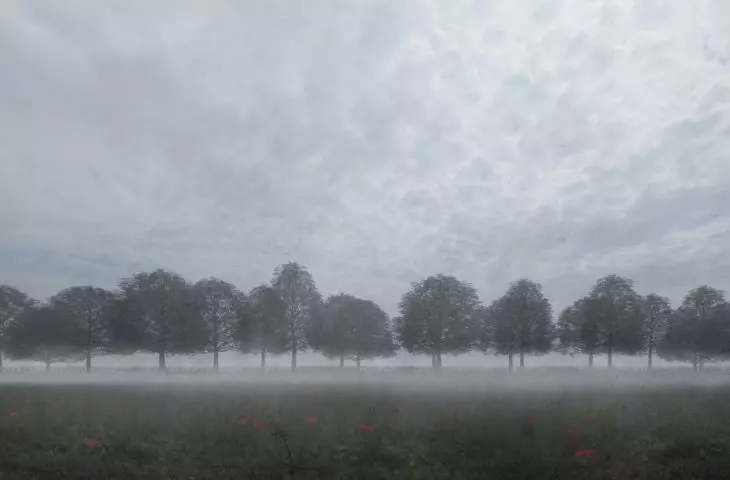 oak avenue