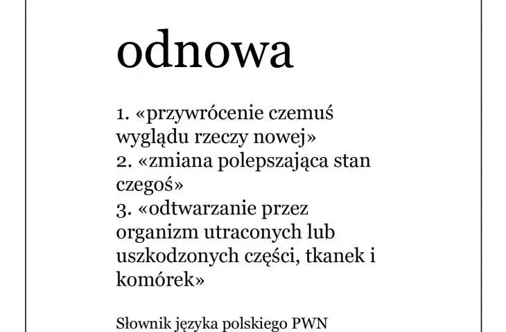 definition of project name 