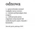 definicja nazwy projektu „ODnowa”