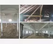 interiors of the sheepfold