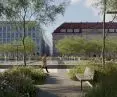  172 trees will be planted in the square