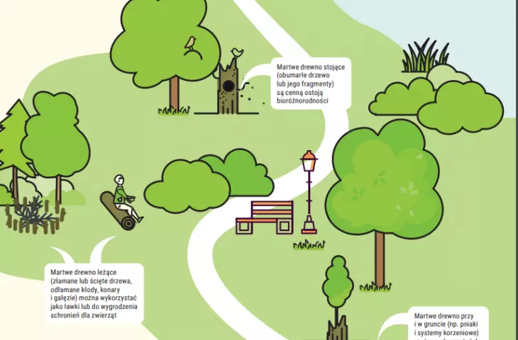 use of dead trees by standards