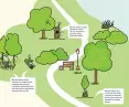 use of dead trees by standards