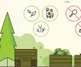 composting standards