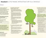 przykład uproszczonej karty standardów