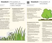 przykład uproszczonej karty standardów