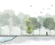 Site cross-section