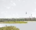 Located right on the water, the observatory allows wildlife viewing