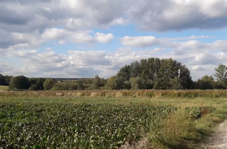 Olszanica belongs to the Zwierzyniec district of Kraków