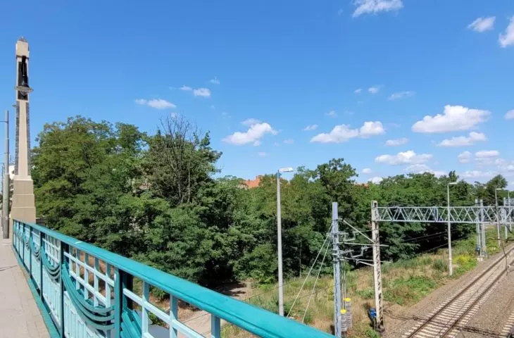 wysoka zieleń wzdłuż torów PKP w centrum Poznania