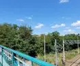 high greenery along the railway tracks in the center of Poznań