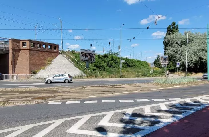 Tall greenery along the railway tracks in the center of Poznań