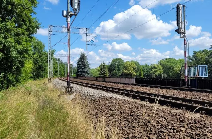 Wysoka zieleń wzdłuż torów PKP w centrum Poznania