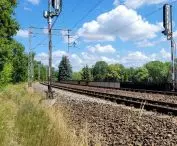 Tall greenery along the railway tracks in the center of Poznań