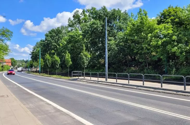 Tall greenery along the railway tracks in the center of Poznań