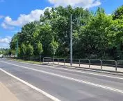 Wysoka zieleń wzdłuż torów PKP w centrum Poznania