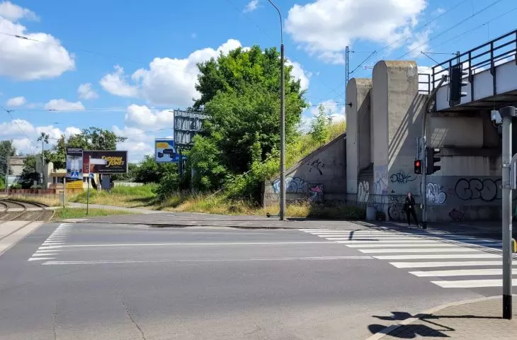 Tall greenery along the railway tracks in the center of Poznań