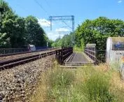 Wysoka zieleń wzdłuż torów PKP w centrum Poznania