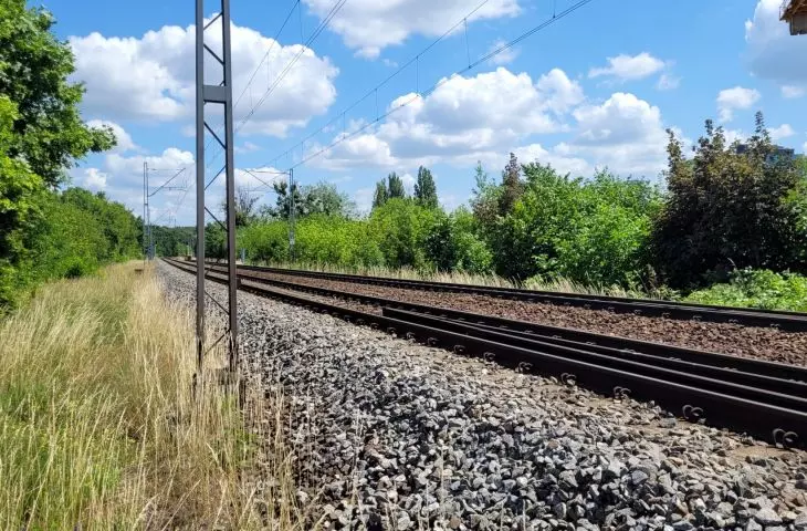 Wysoka zieleń wzdłuż torów PKP w centrum Poznania