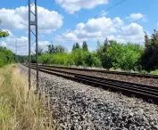Wysoka zieleń wzdłuż torów PKP w centrum Poznania