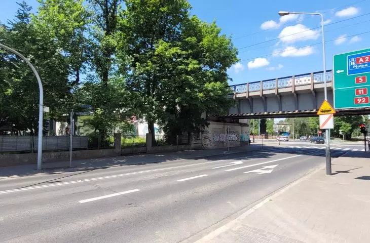 Tall greenery along the railway tracks in the center of Poznań