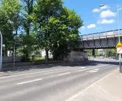 Tall greenery along the railway tracks in the center of Poznań