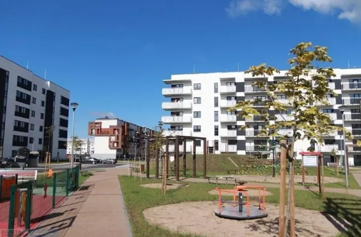 cellulose project