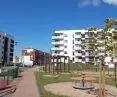 projekt celulozowa