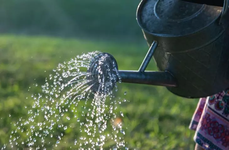 Woda, zgromadzona podczas ulewy, może być używana do podlewania ogrodu w czasie suszy. Dzięki systemom gospodarowania wodą deszczową ochrona klimatu idzie w parze z ochroną Twojego gospodarstwa przed dotkliwymi skutkami suszy.