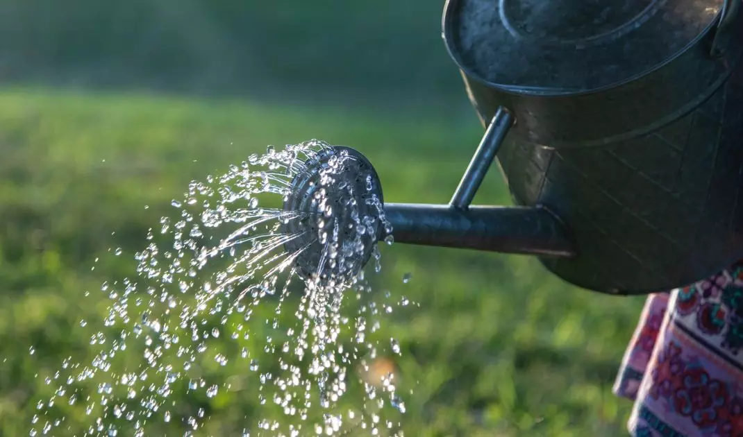 Woda, zgromadzona podczas ulewy, może być używana do podlewania ogrodu w czasie suszy. Dzięki systemom gospodarowania wodą deszczową ochrona klimatu idzie w parze z ochroną Twojego gospodarstwa przed dotkliwymi skutkami suszy.