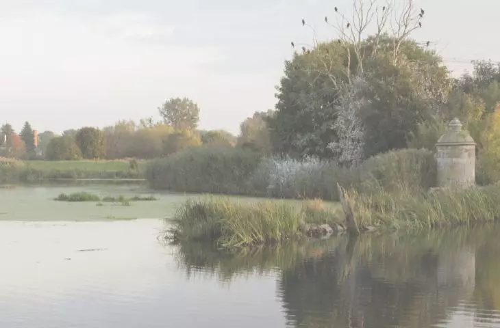 Okolica Śluzy Kamiennej