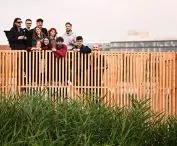 Mood for Wood 2023 workshop at Malta in Poznań