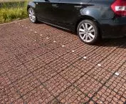 EcoRaster