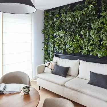 Vertical garden creates work-friendly climate