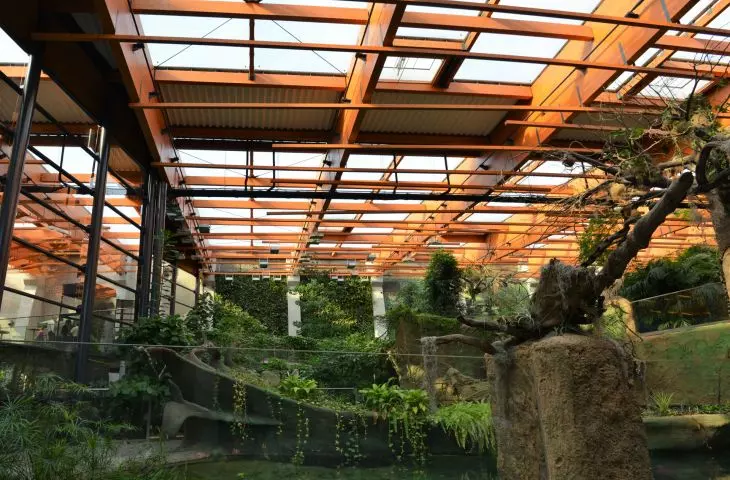 Afrykarium-Oceanarium we Wrocławiu
