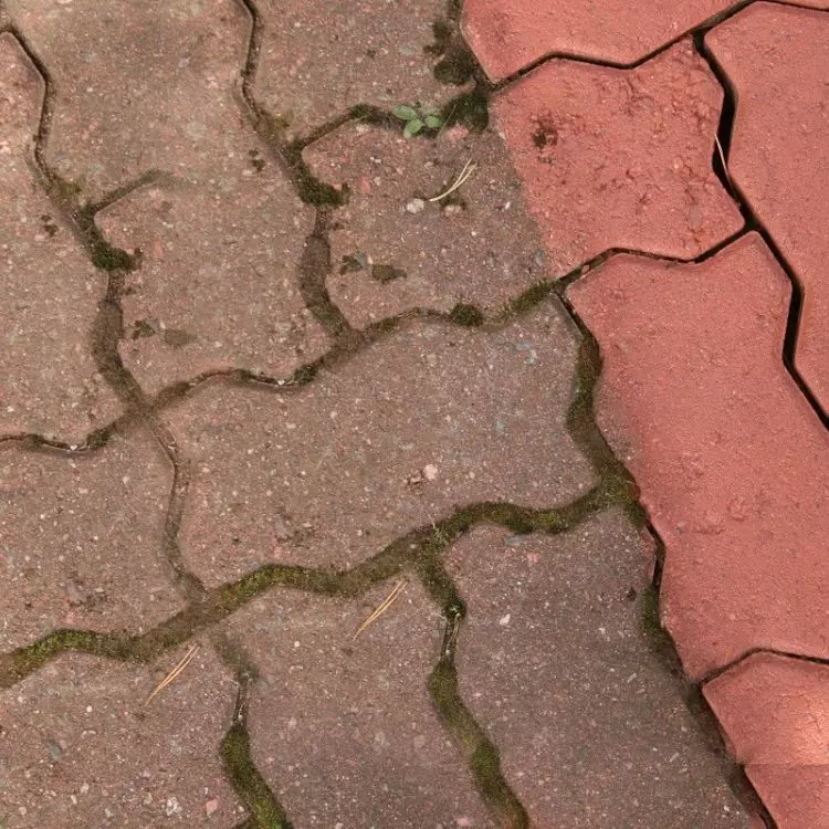 To keep your paving stones clean, sweep them regularly, wash them with water with a special paving cleaner, and remove weeds regularly. You can also try mechanical or high-pressure cleaning. 